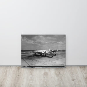 Vintage Columbine II Canvas Print